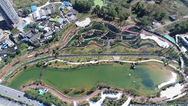 “臭水塘”變身“城市花園”！貴陽七彩湖生態(tài)濕地公園被媒體稱贊