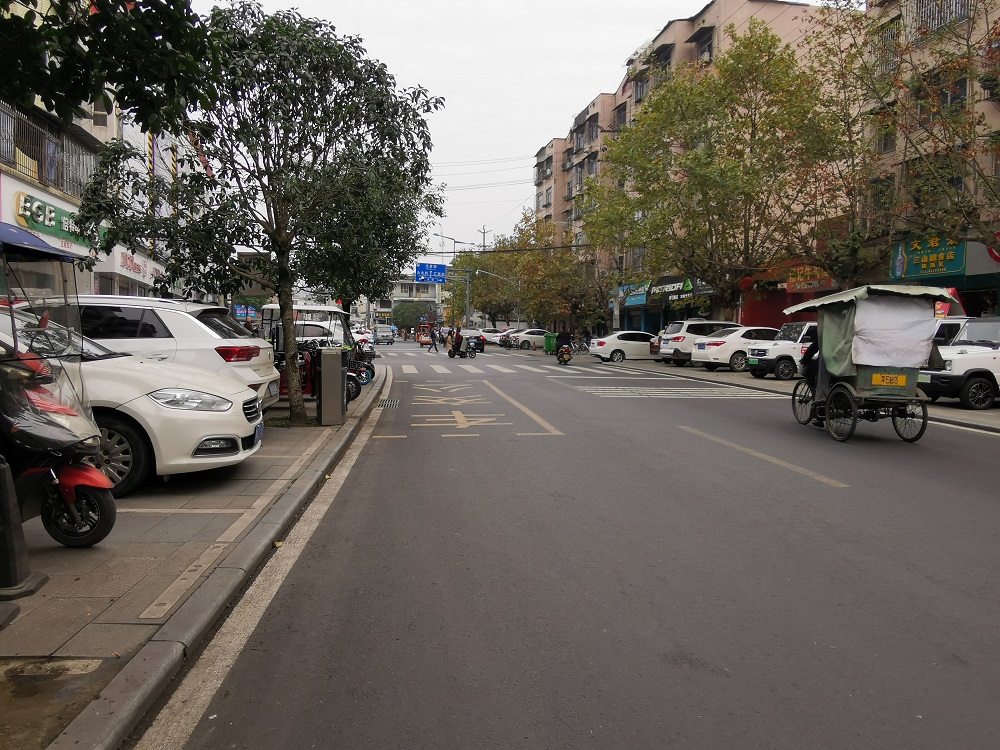 “4.20”災后恢復重建邛崍市蒲口路等道路改造工程
